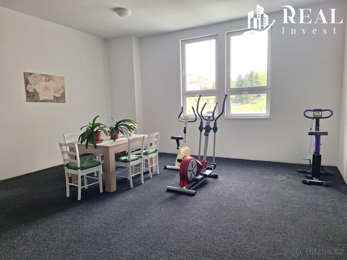 Pronájem, byt 1kk, 30m2, ul. Nám. 8. května, Meziboří - 14