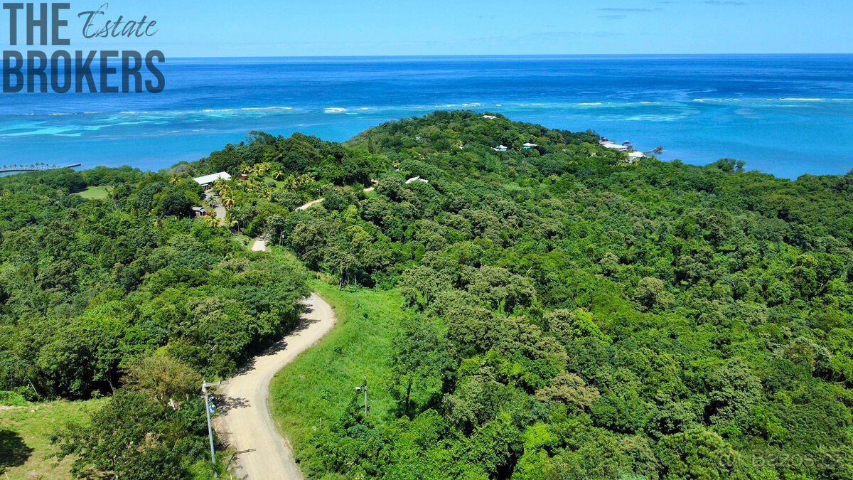 Punta Blanca, Lot 4 - 14