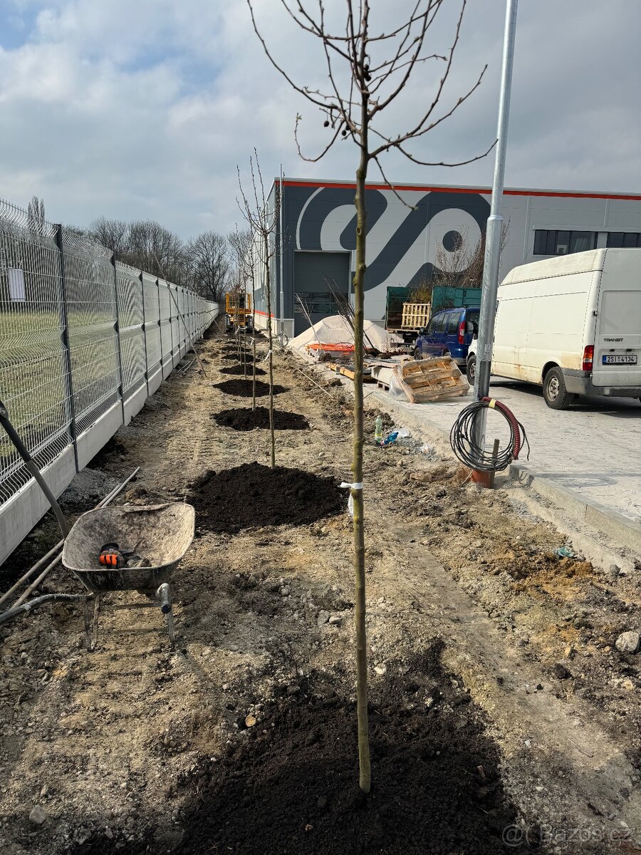 Údržba zeleně - 14