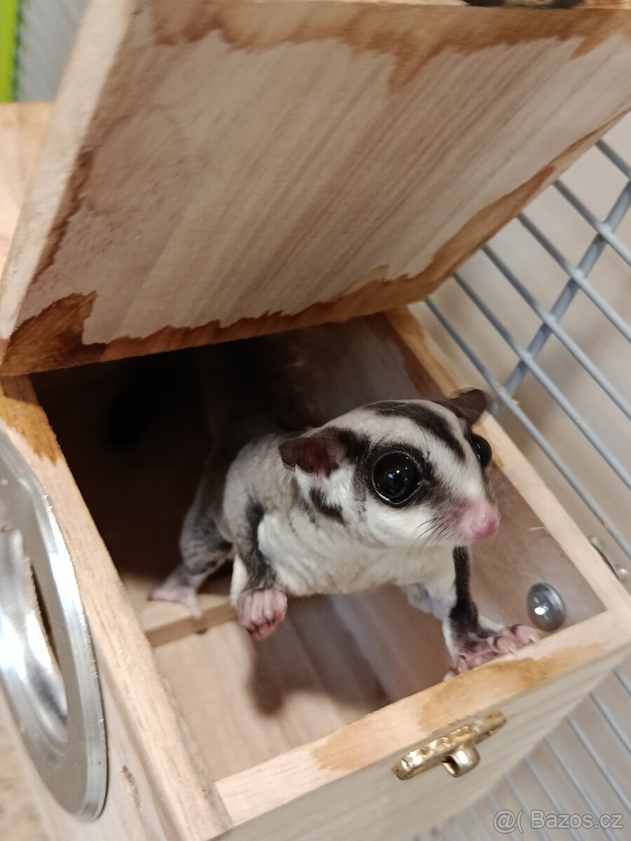 Vakoveverky + vybaveni - 14