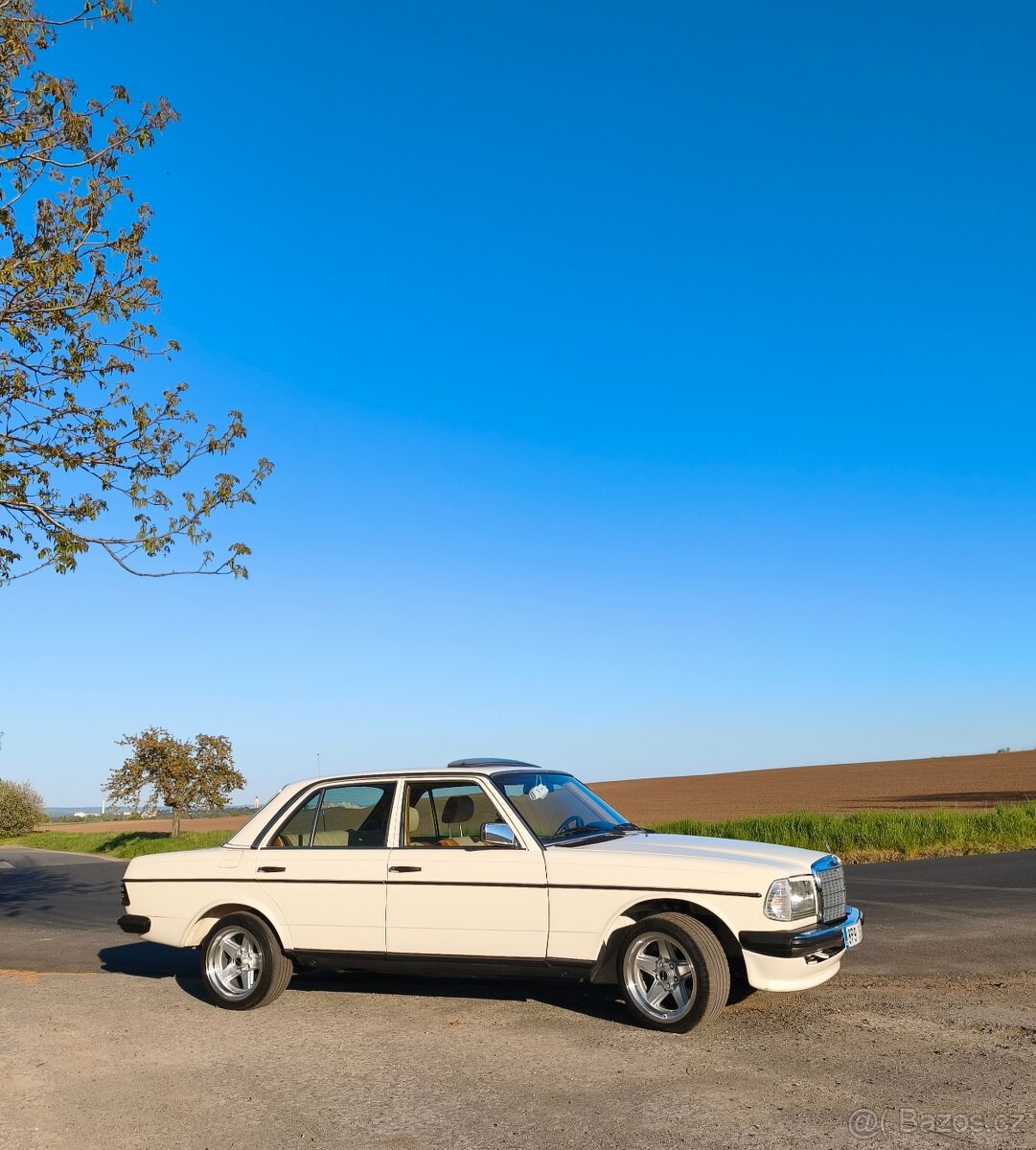 W123 230E Piano - 14