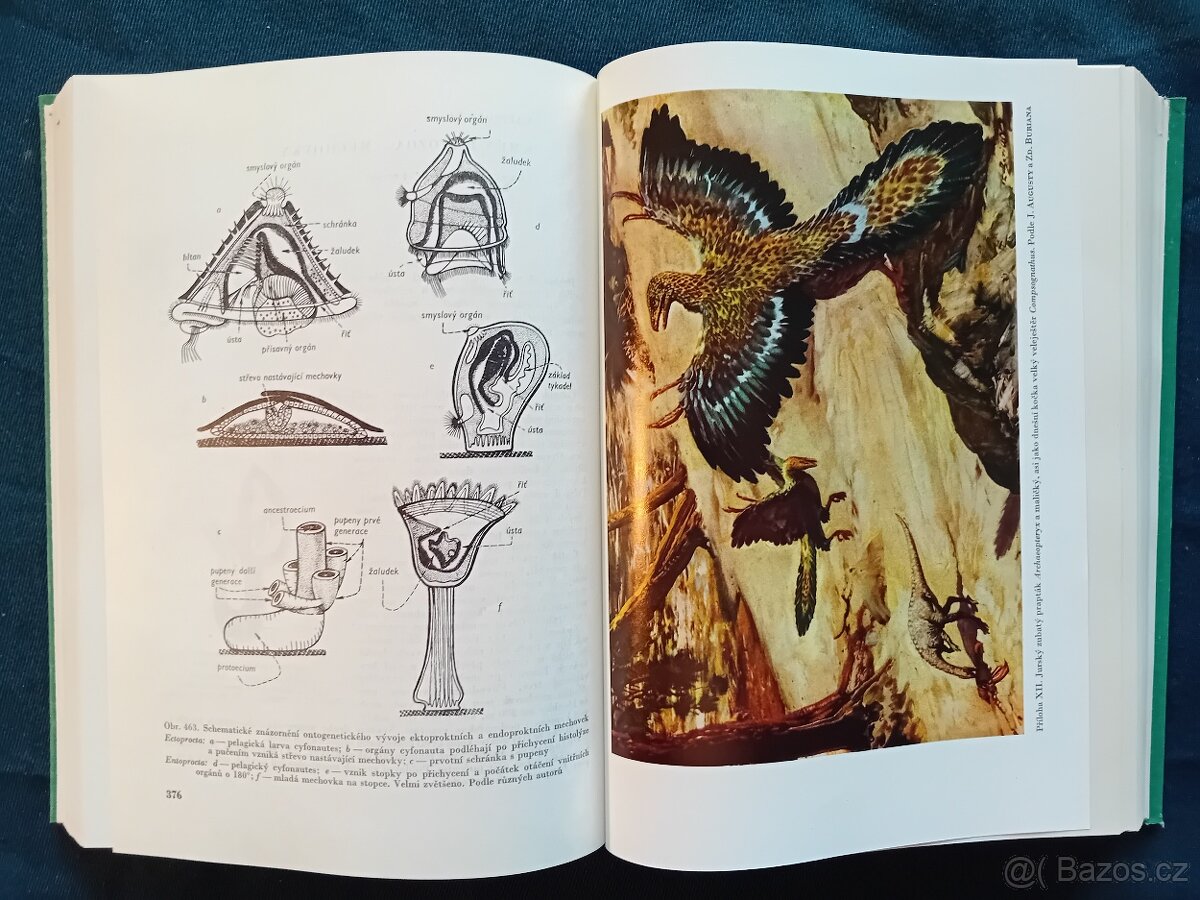 GEOLOGIE - MINERALOGIE - KNIHY - 14