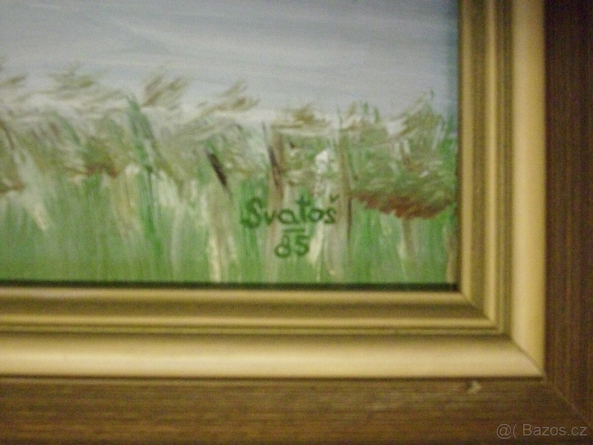 Obrazy z nálezu - 14