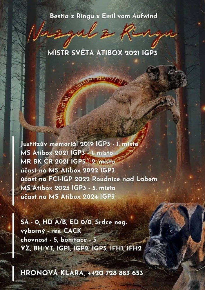 Štěňata německého boxera - 14