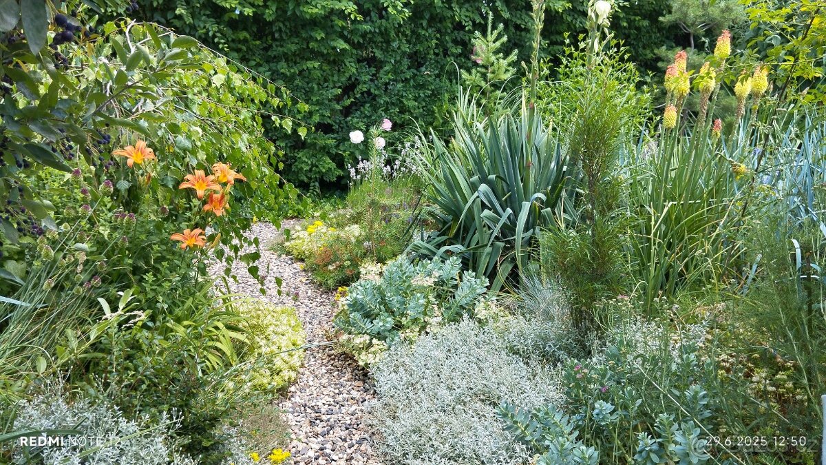 Chata se zahradou - 14