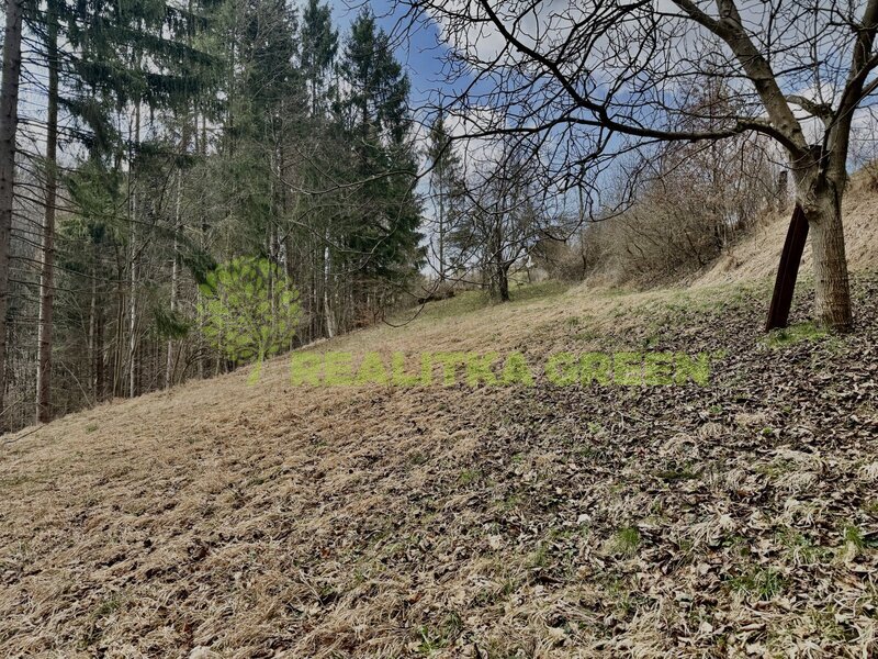 Prodej chaty se včelínem a vlastním pozemkem, Vsetín, lokali - 14