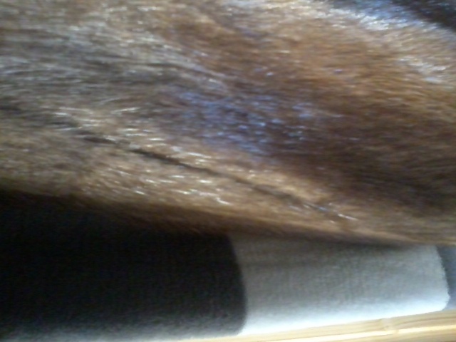 kožíšek bisam SLEVA - 14