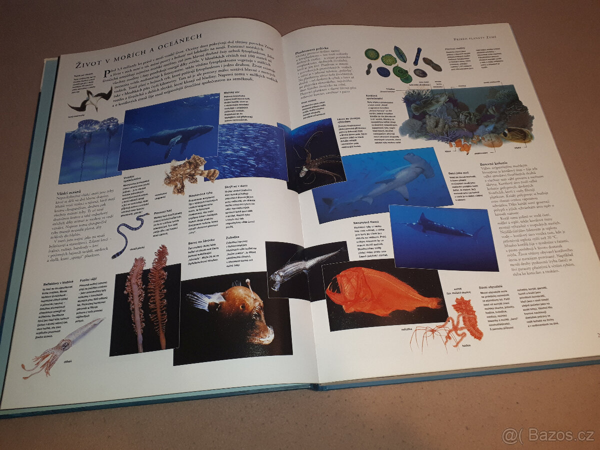 Auta, Skirim, hracky, hry, ufon, stavebnice, ruzne - 14