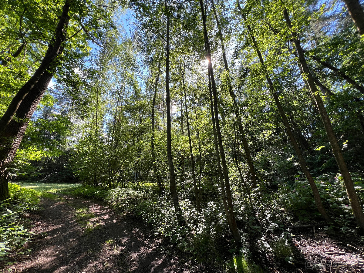 Malebný pozemek 2217 m2 u Prahy - Kamenný Přívoz - 14
