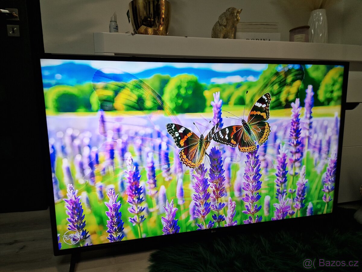 4K UltraHD Televize LG 55UJ6307 černá - 14