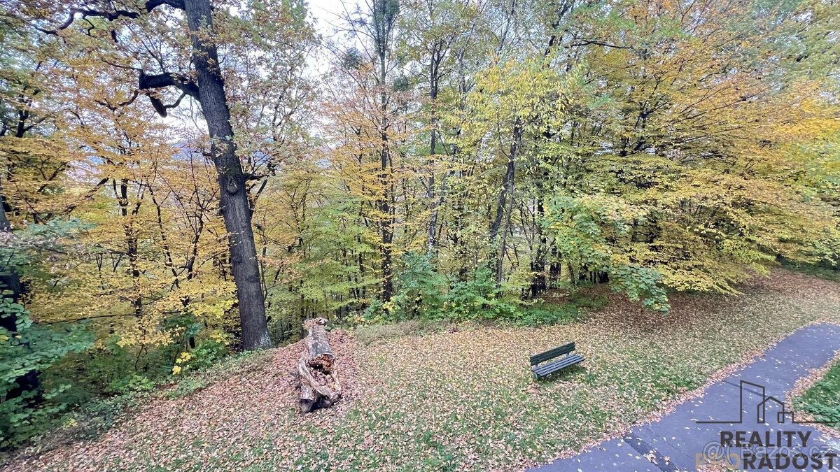 Byt 3+1 Třinec - Topolová - 14