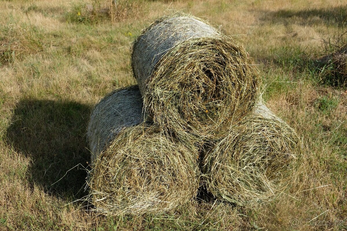 Prodej lučního sena - 14