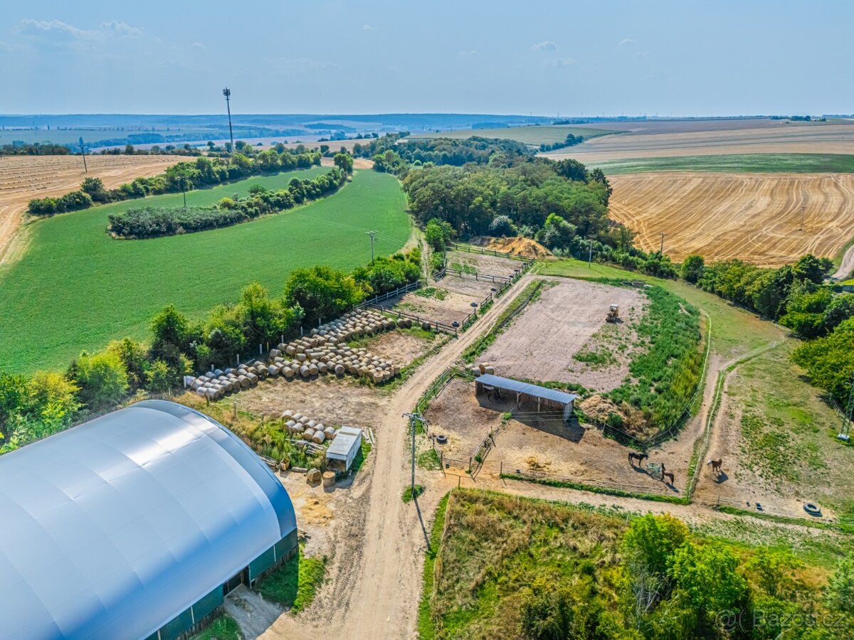 Ustájení koní – Telce u Peruce - 14