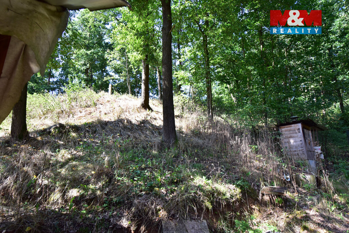 Prodej chaty, 40 m², Bechyně - 14