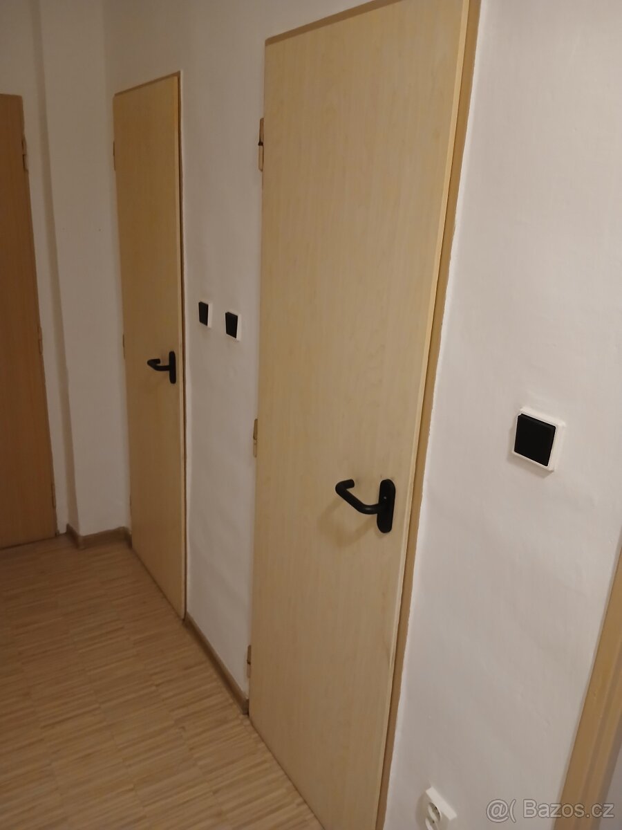 Pronájem bytu 3+1 - 14