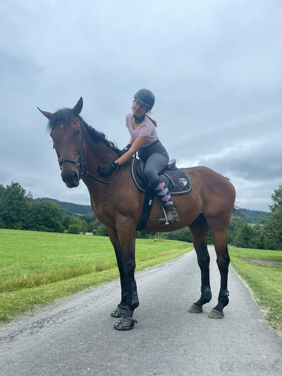 Pasování botek pro koně: - 14