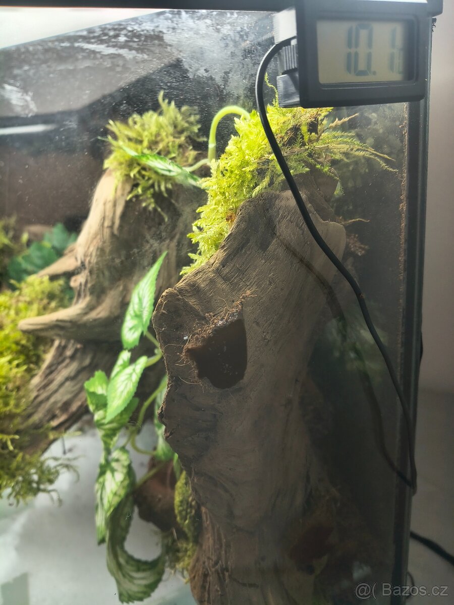 Terárium velké 60x45x45 - 14