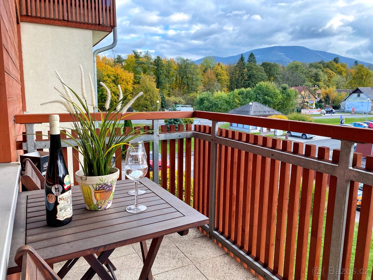 Pronájem byt 1kk (40m2) + park. stání, Čeladná - Farské luky - 14