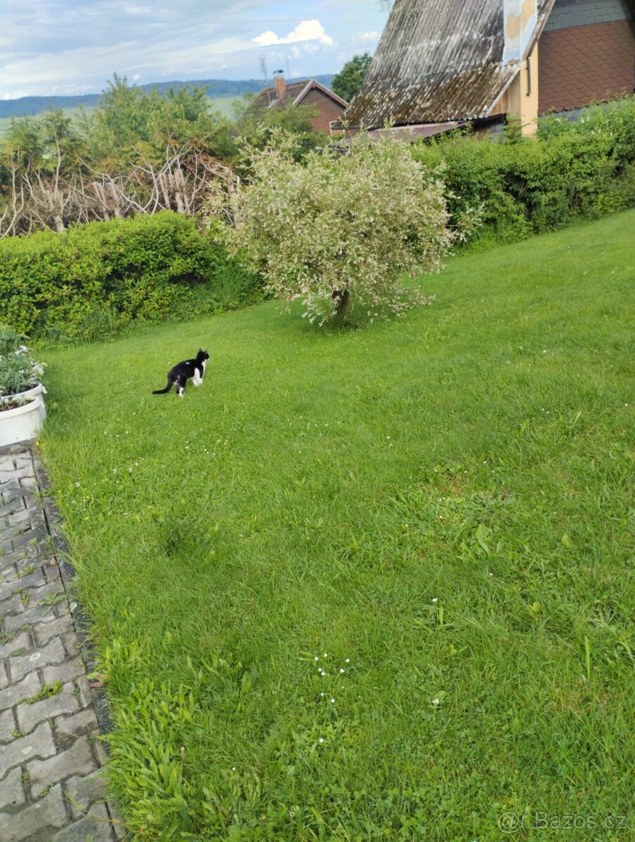 Celoroční obyvatelná chata - 14