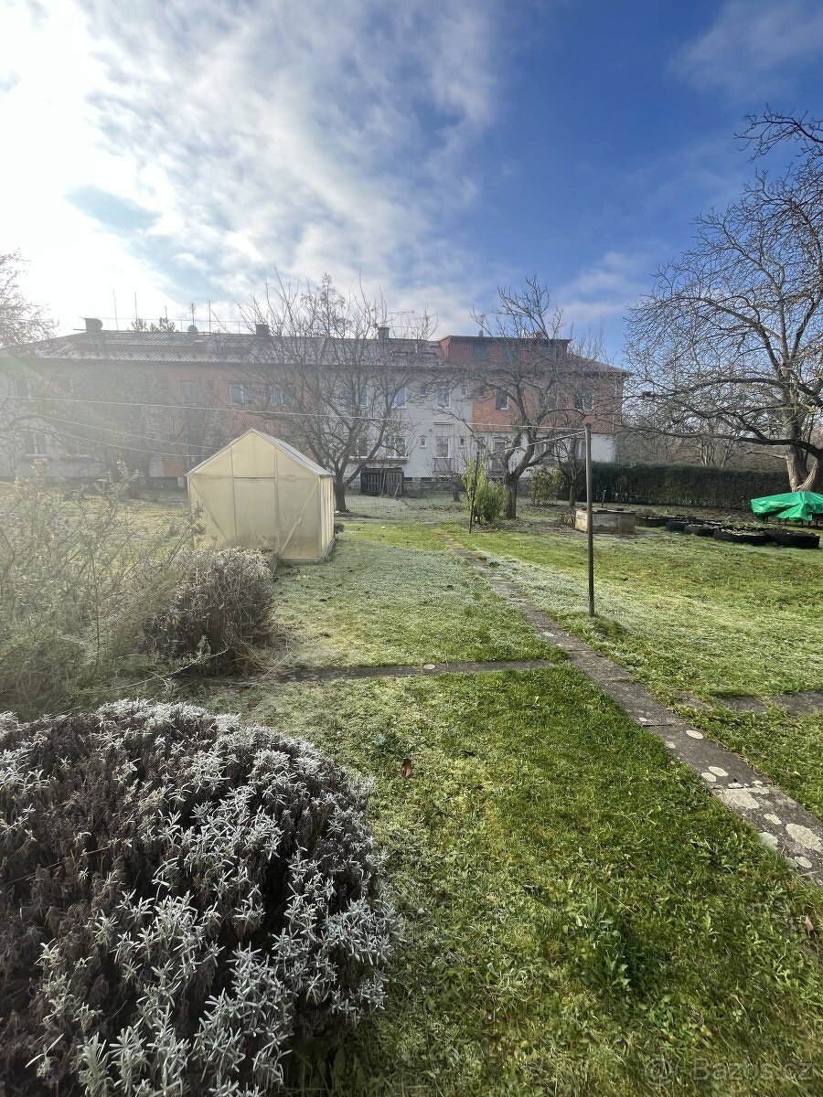 Pronájem bytu se zahradou 3+1, Matochova, Hejčín, 17 000 Kč/ - 14