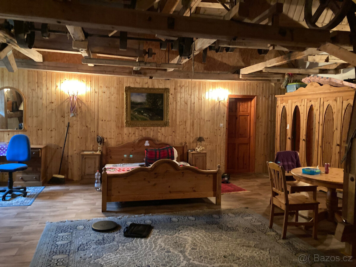 Půvabný mlýn s rybníky, lesy, pastvinami, 5 apartmanů - 14