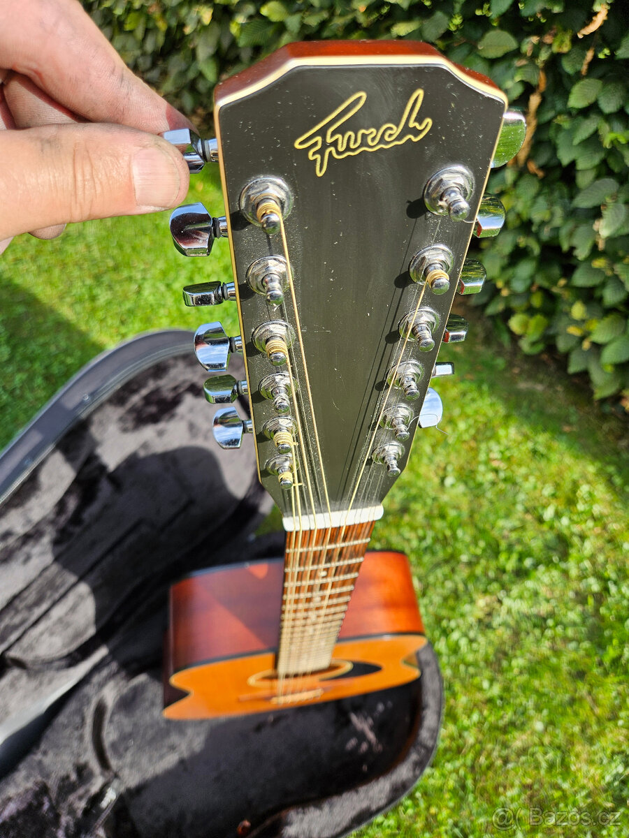 Dvanactistrunná celomasivní akustická kytara FURCH - 14