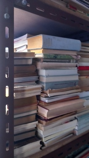 Prodám hodně knih více než 1000 kusů - 14