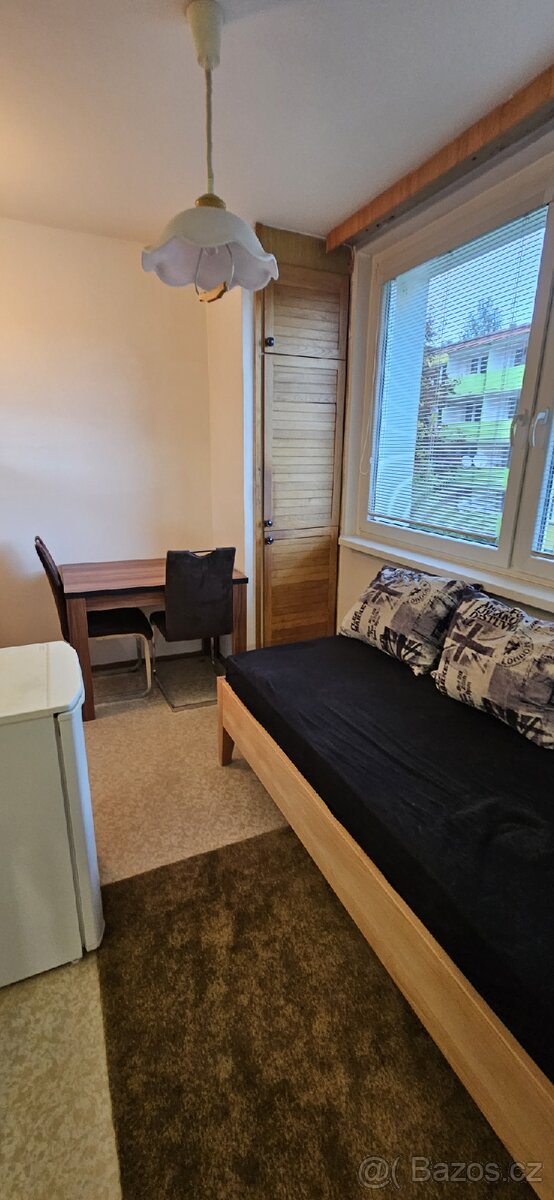 Velký 2+1,66m2,OV v Luhačovicich - 14