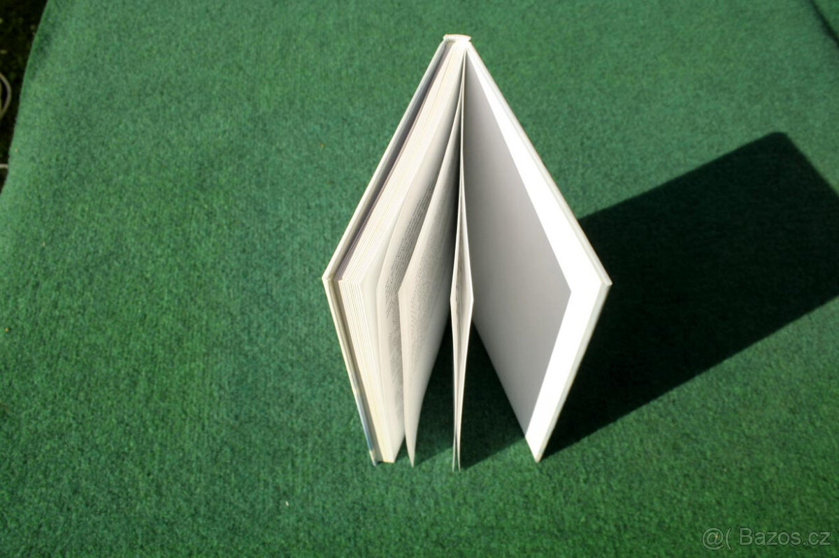 Knihy 2. svět. válka, armáda, vojenské RAF 2.část - 14