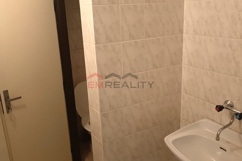 Pronájem komerčních prostor - 14