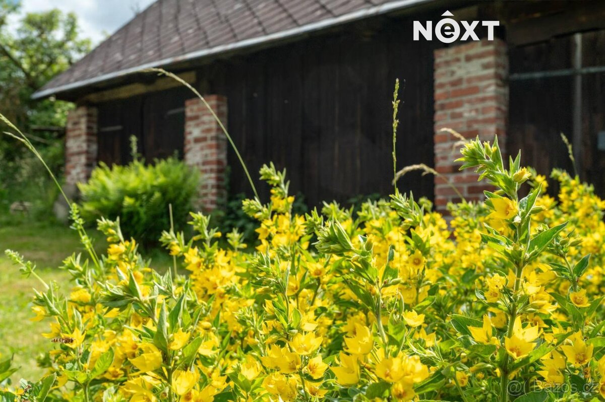 Prodej komerční Ubytování, 160㎡ - 14