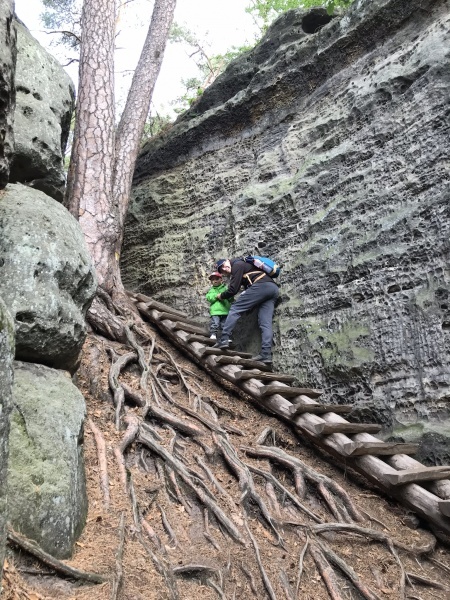 Nabízím ubytování v karavanu, Mšeno u Mělníka - 14