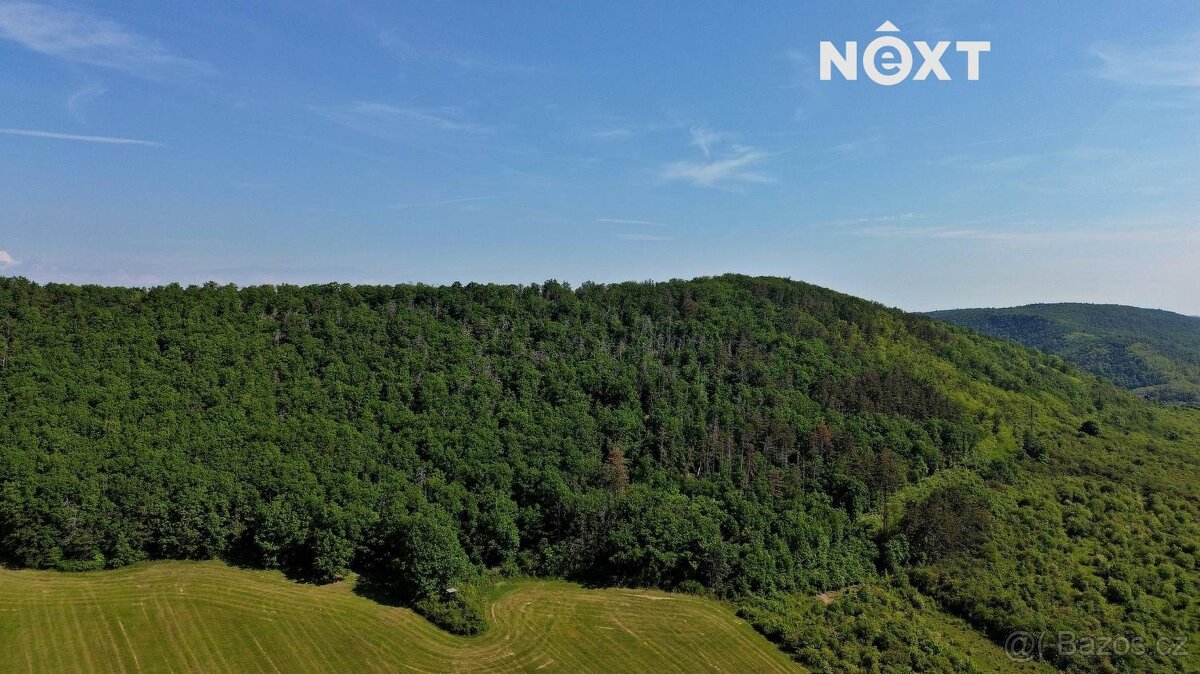 Prodej pozemek Lesy, 3149㎡ - 14