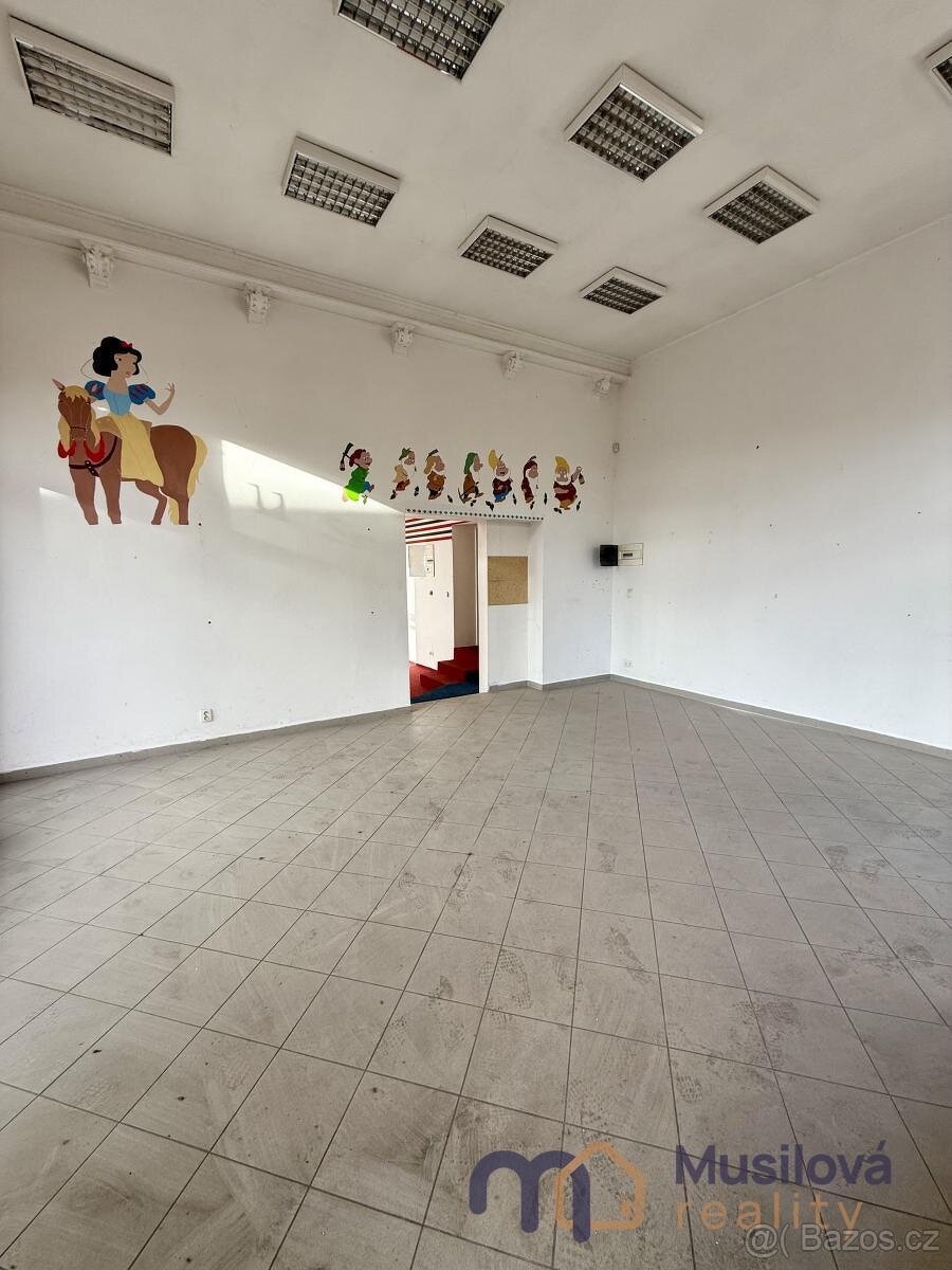 Pronájem obchodního prostoru 65 m2 - 14