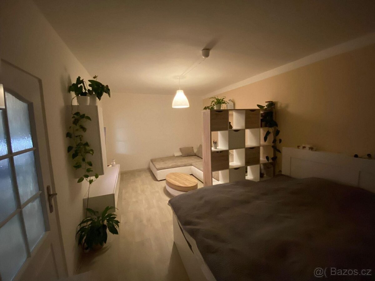 Pronájem bytu Střekov 2+1 - 14