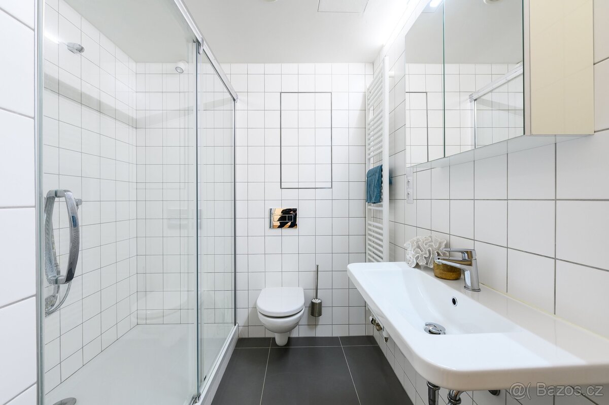 Pronájem bytu 2+kk 64 m², Plzeň - Severní Předměstí - 14