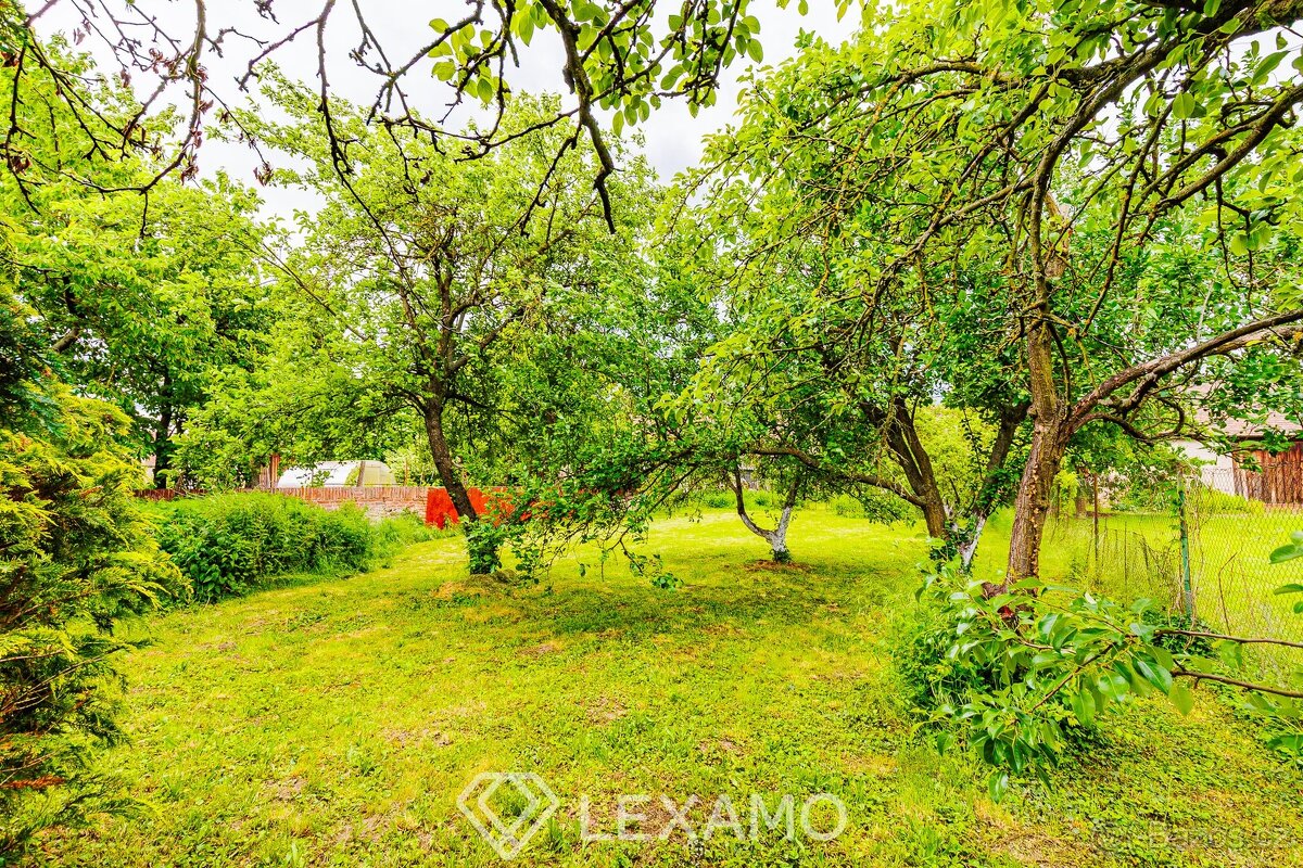 Prodej rodinného domu s pozemkem a stodolou: Únanov u Znojma - 14