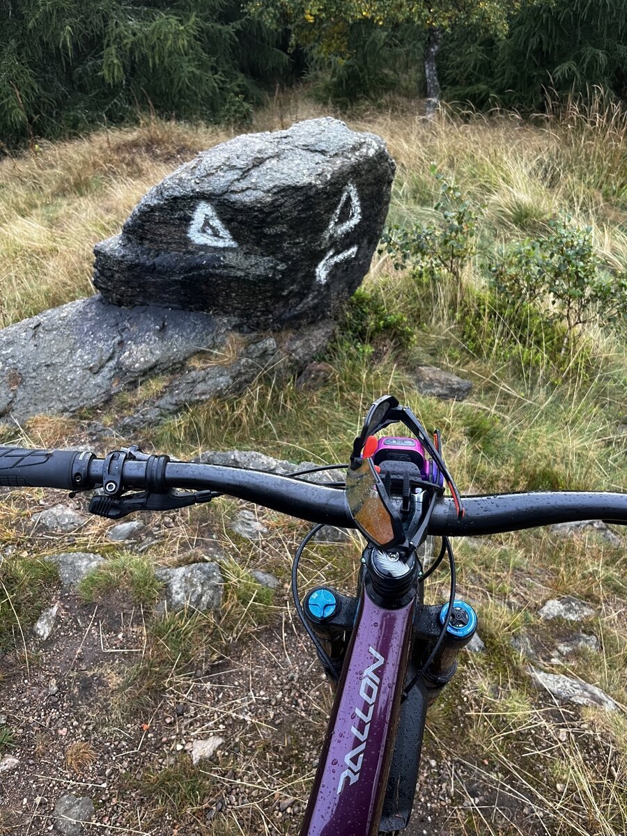 Orbea Rallon - 14