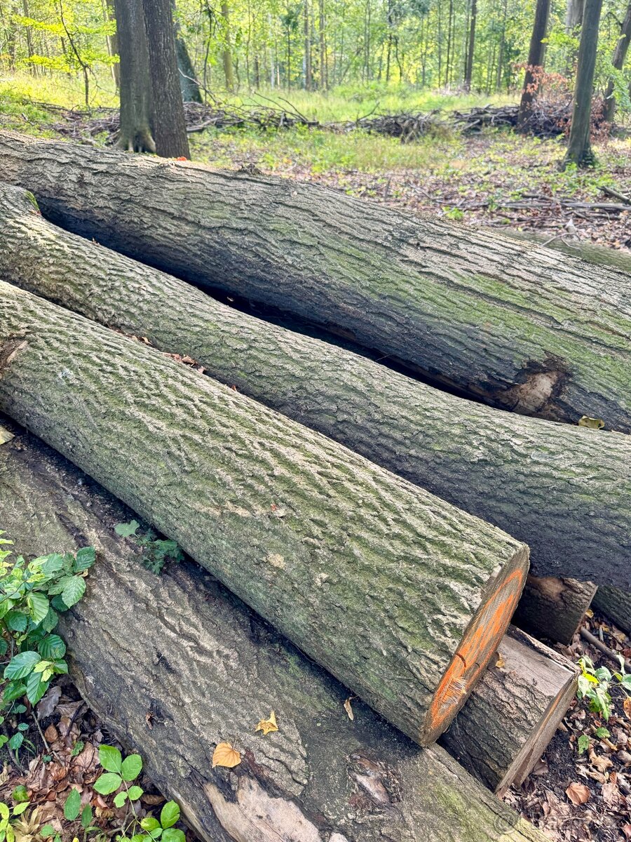 Prodej palivového dřeva - 14