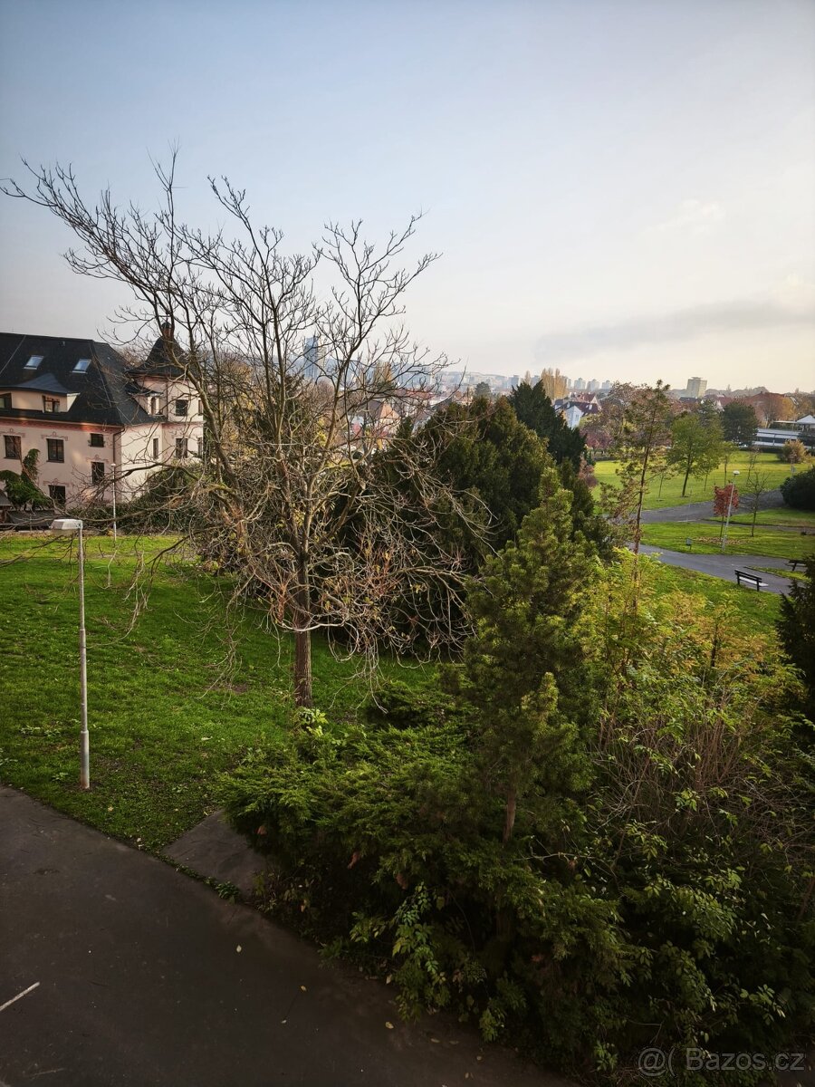 Pronajmu byt 4+1v Mostě - 14