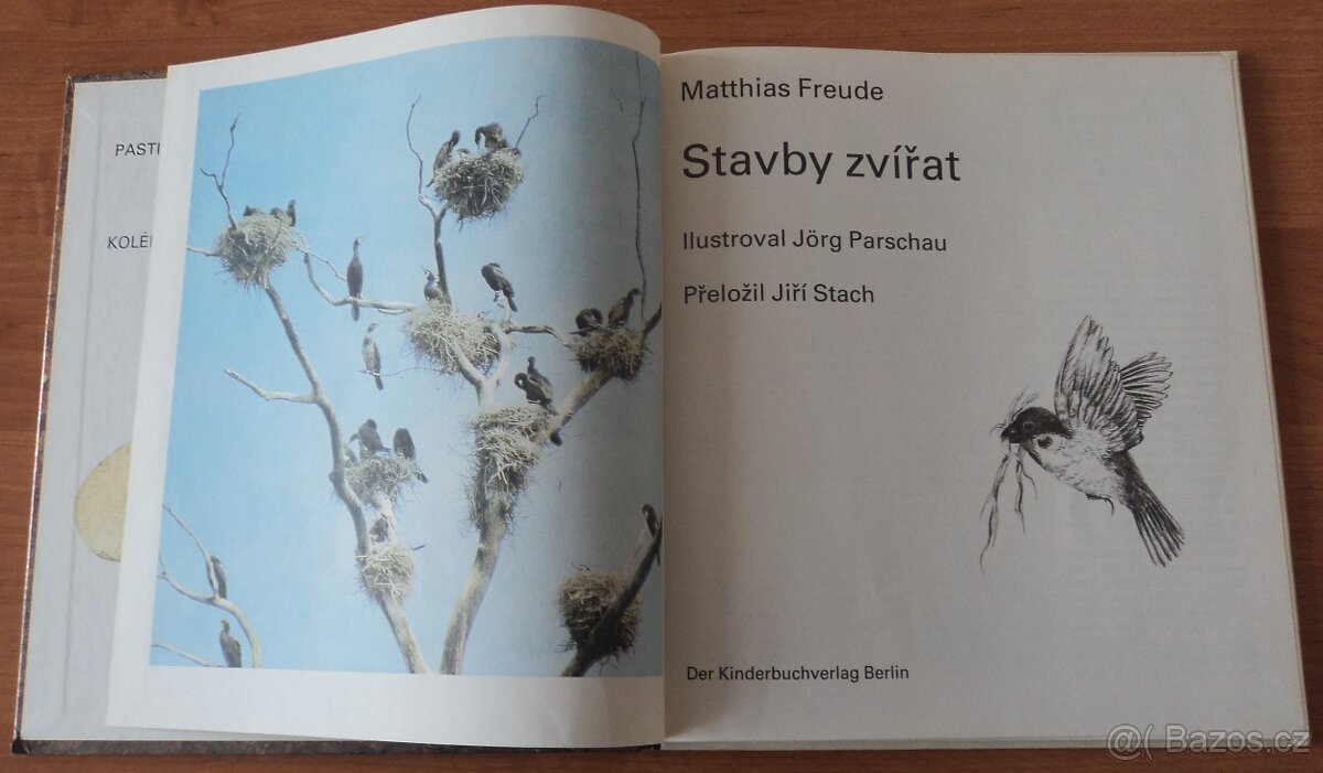 Psi, Stavby zvířat - 14