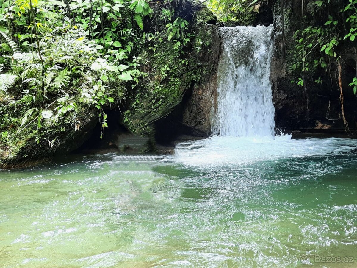 Farma Kostarika Guayacará 152 Ha - 14