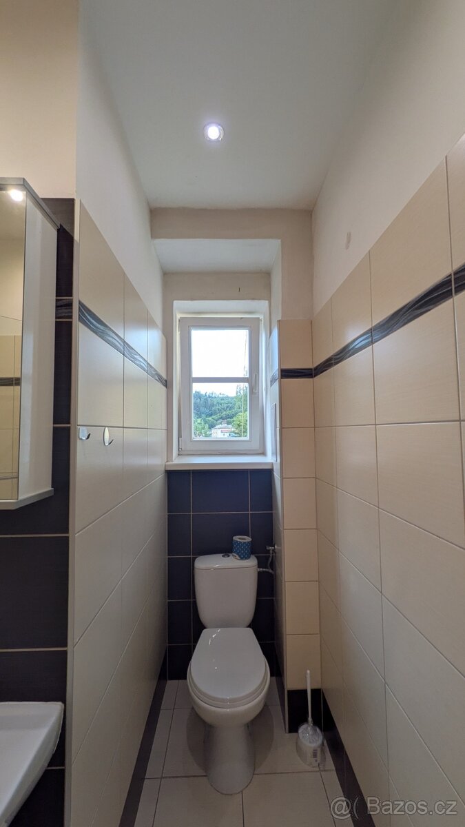 (REZERVACE) Pronájem, prostorný byt 1+1 53 m - 14