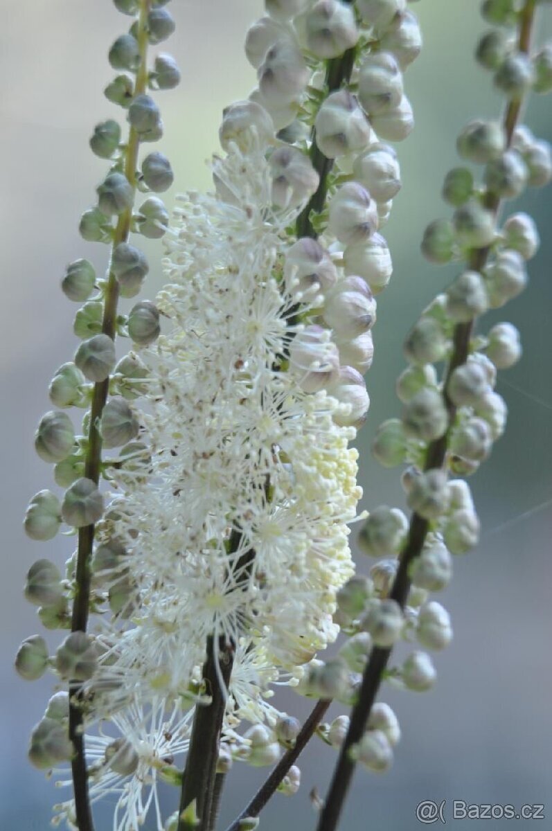 Nikon D5000 + kompletní výbava - 14