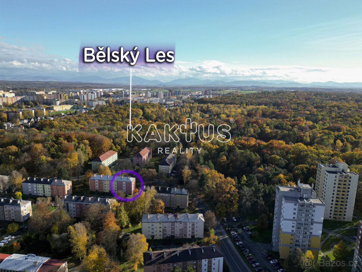 Prodej bytu (49 m2) na ulici Bolotova, Ostrava - Zábřeh - 14