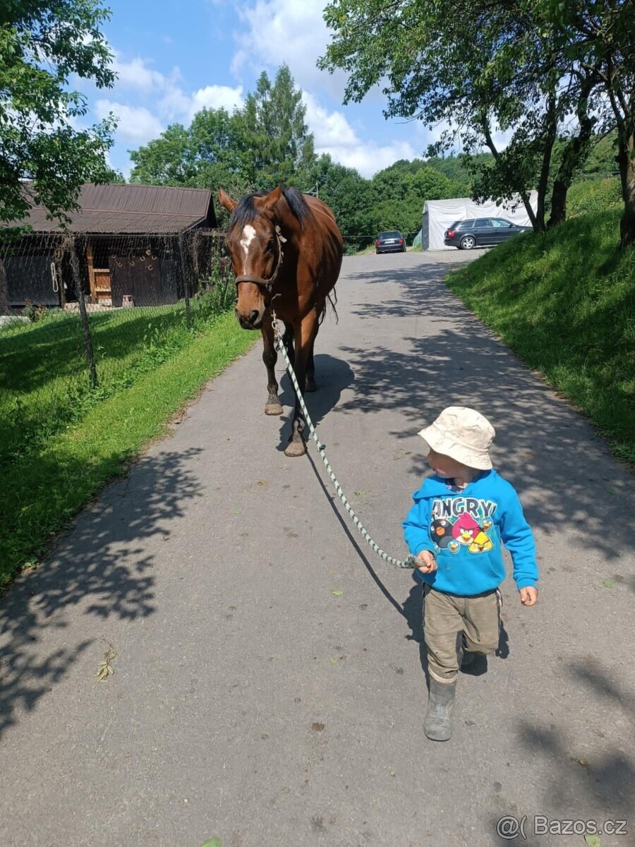 VALACH PARŤÁK PRO ŽIVOT A REKREACI - 14