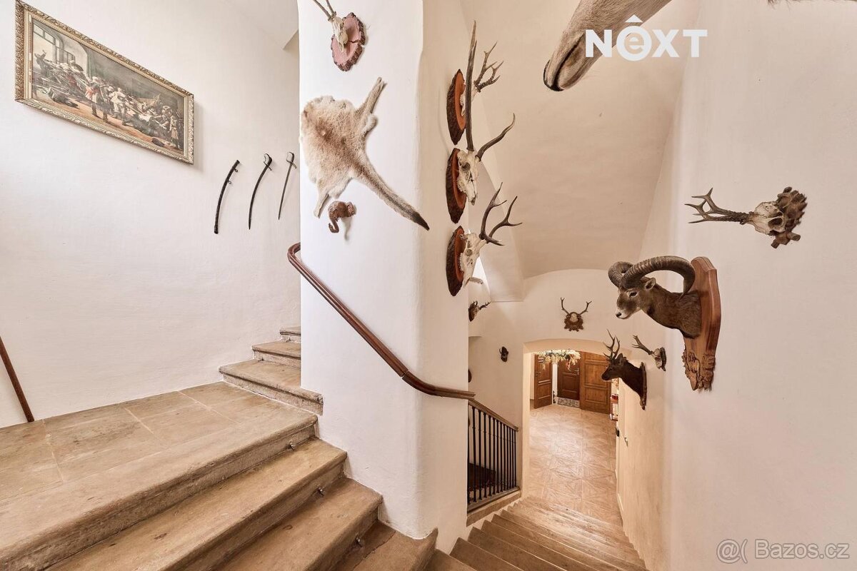Prodej Rodinný dům, 769㎡ - 14