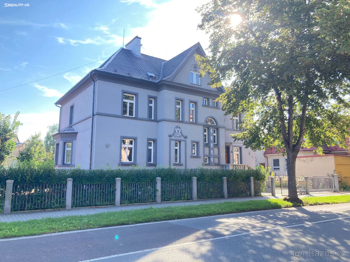 Pronájem světlého 1+kk u městského parku - Nový Bohumín - 14