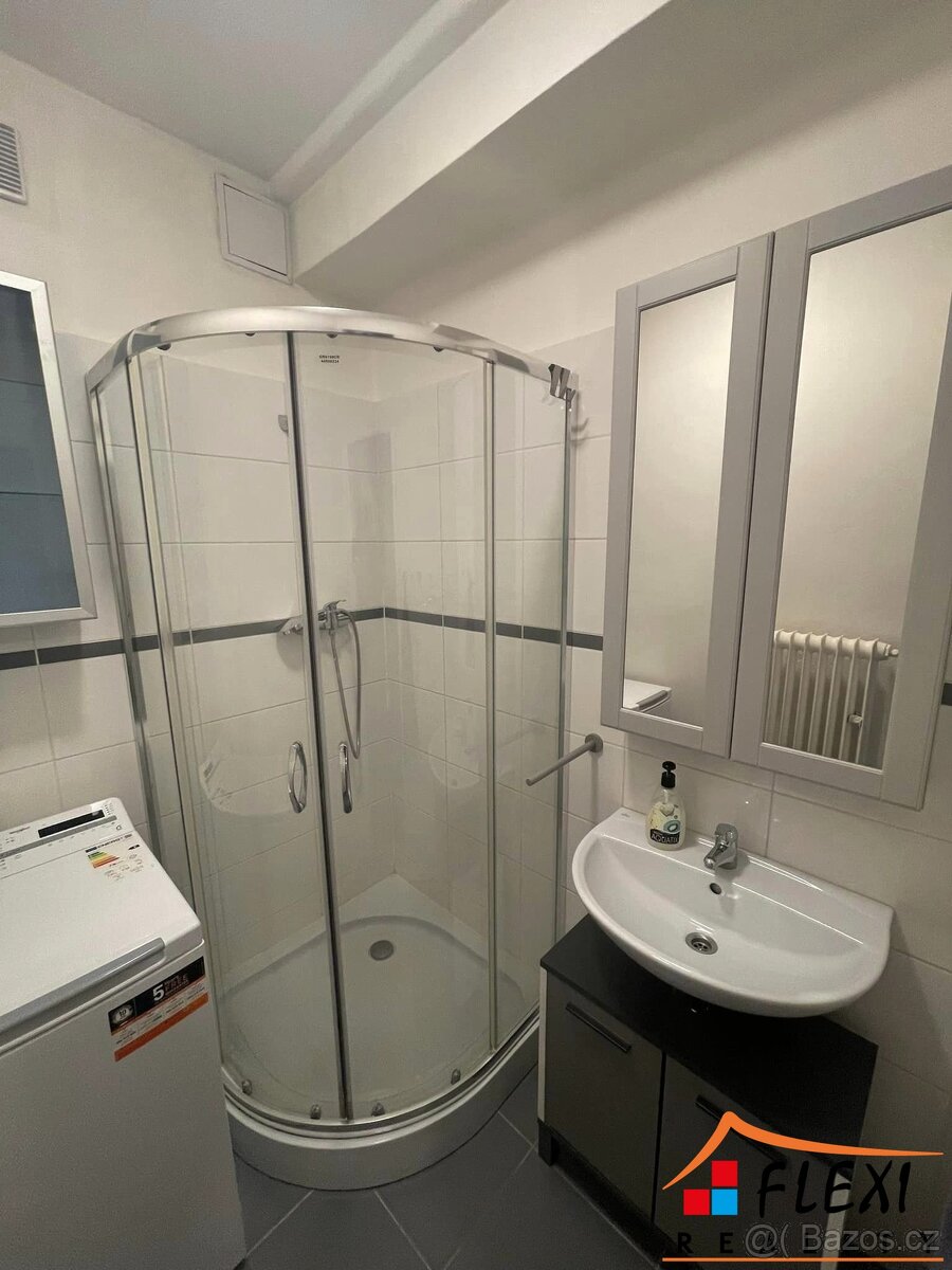 Pronájem zařízeného bytu 1+1 s balkónem, 43 m², ul. Dolní, O - 14