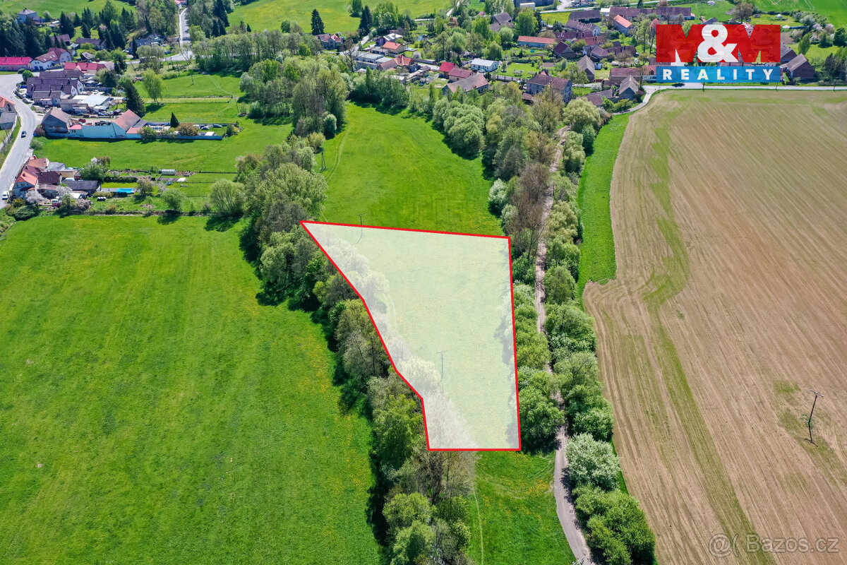 Prodej pozemku, 4590 m², Horní Bříza - 14